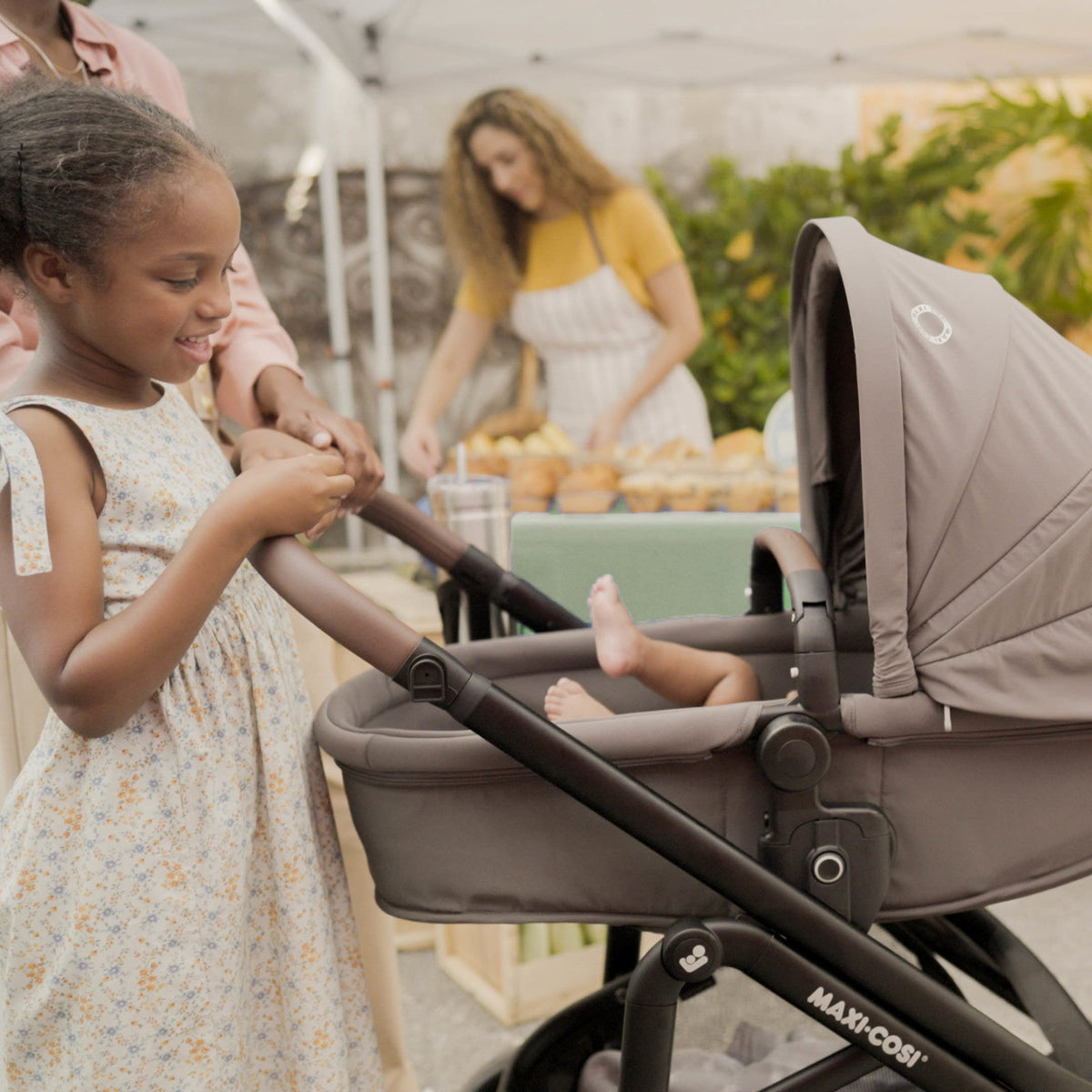 Tayla Max Modular Stroller