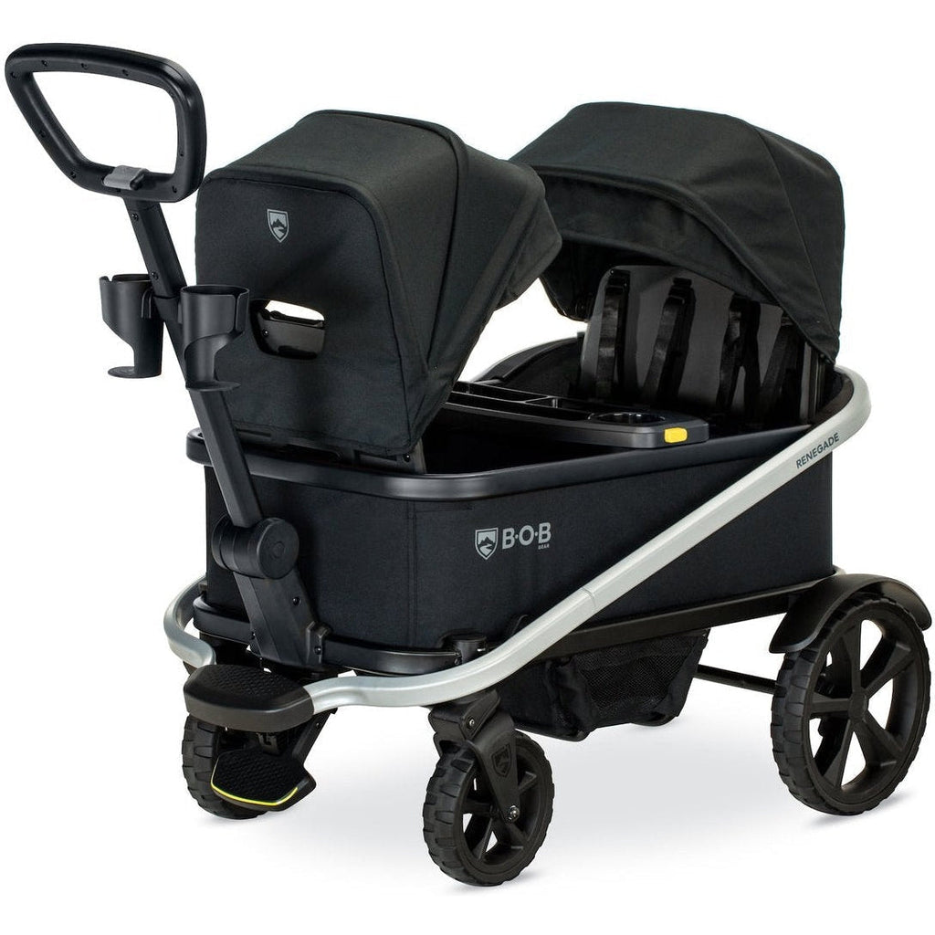 Renegade Canopy Kit (Set of 2)
