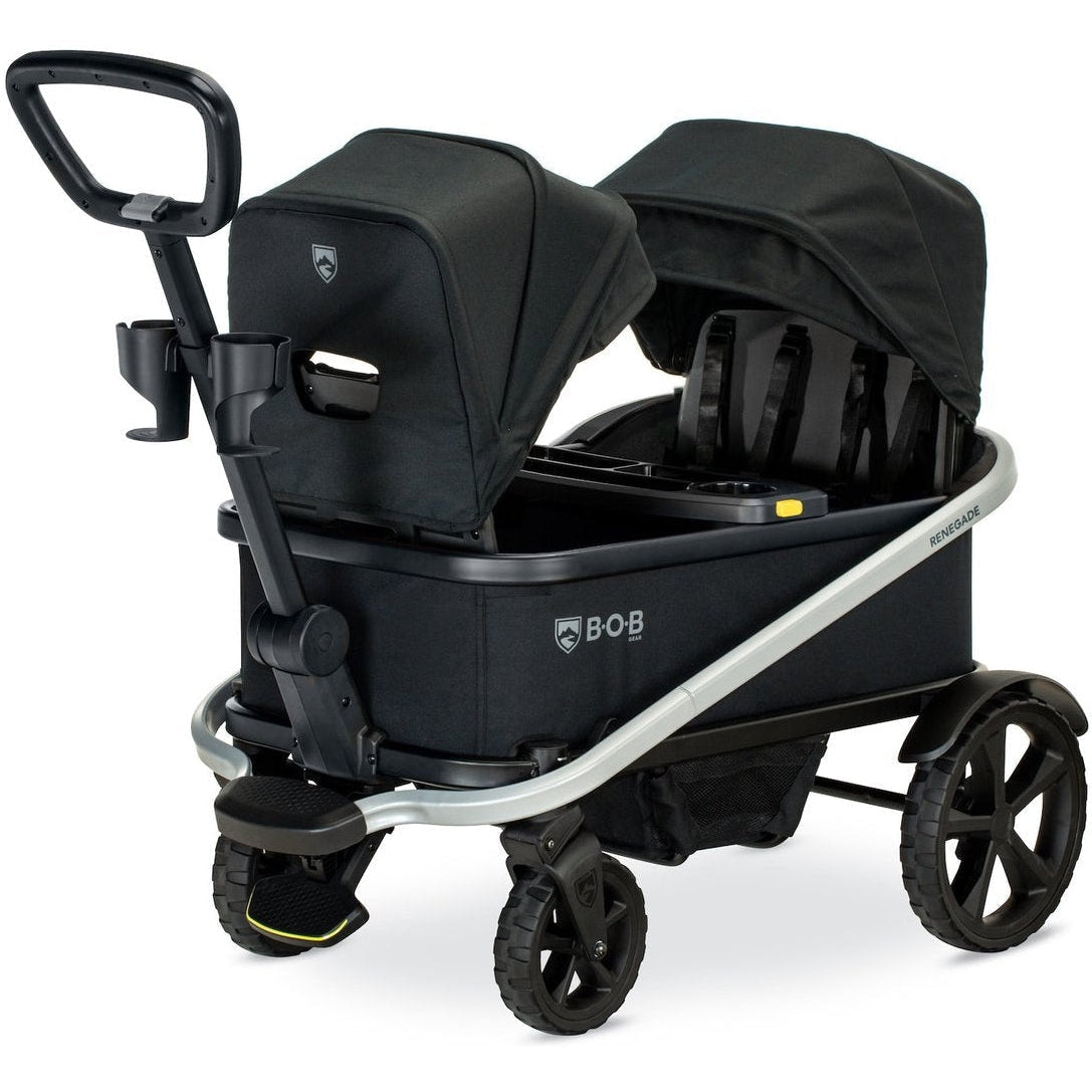 Renegade Canopy Kit (Set of 2)