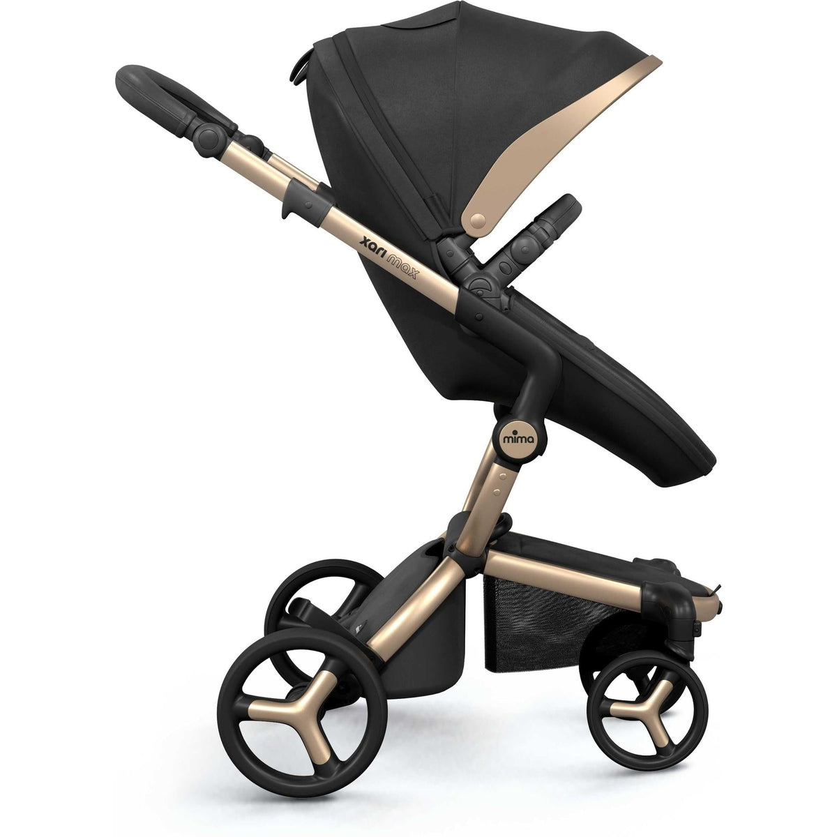 Xari Max Black & Gold
