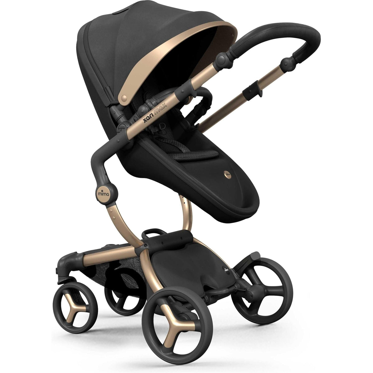 Xari Max Black & Gold