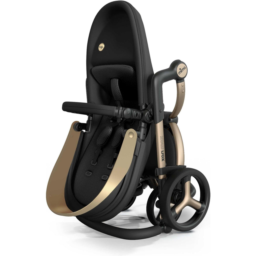 Xari Max Black & Gold