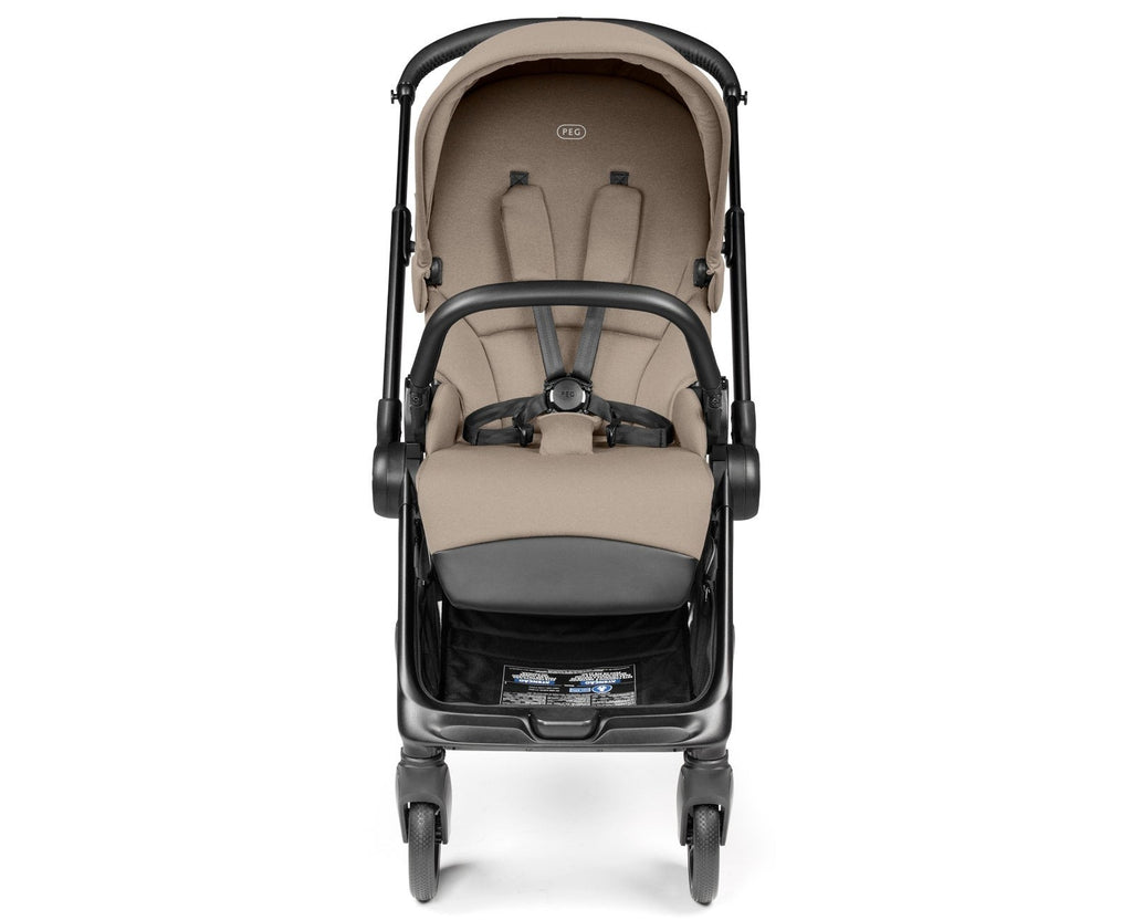 Switch Modular Stroller + Primo Viaggio Nido Car Seat