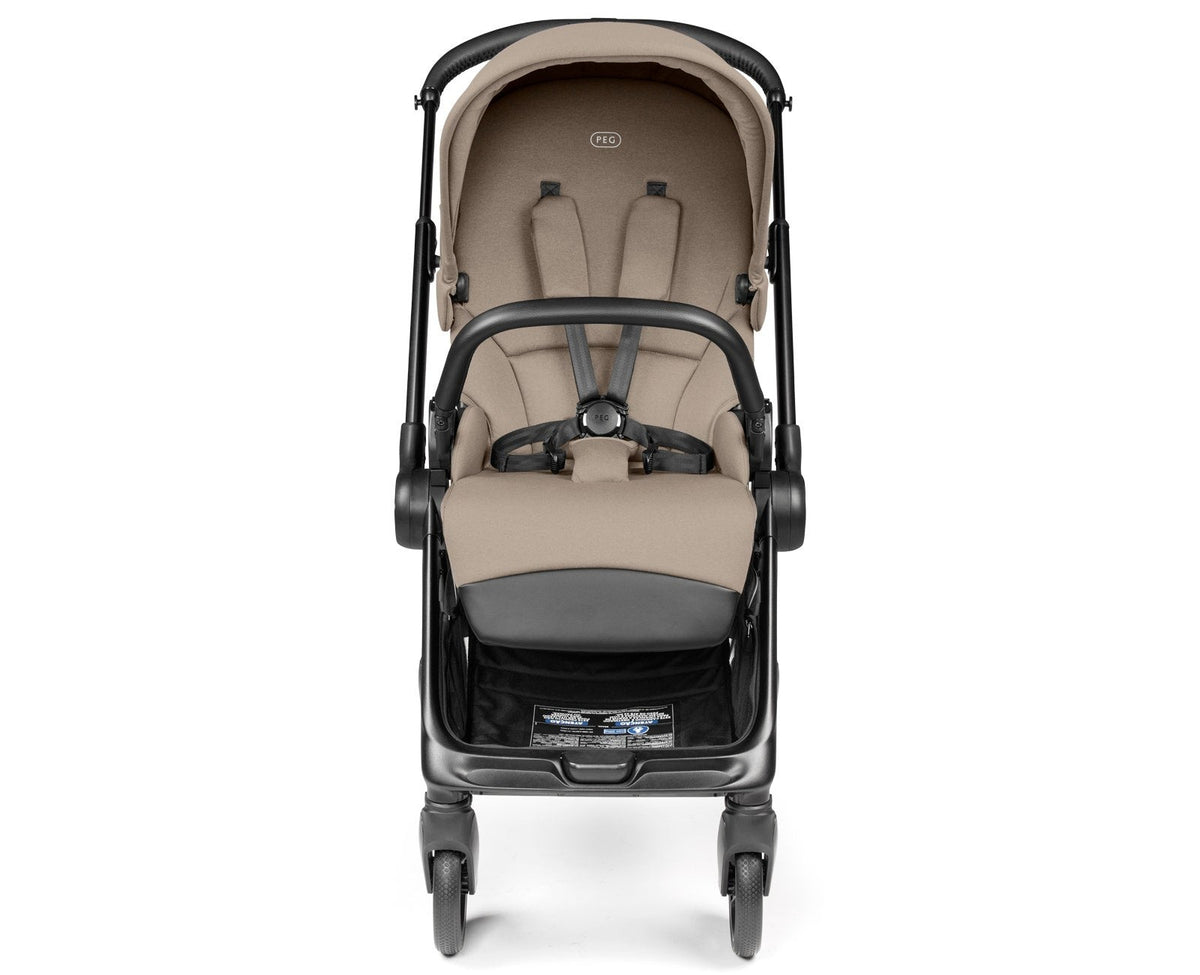 Switch Modular Stroller + Primo Viaggio Nido Car Seat