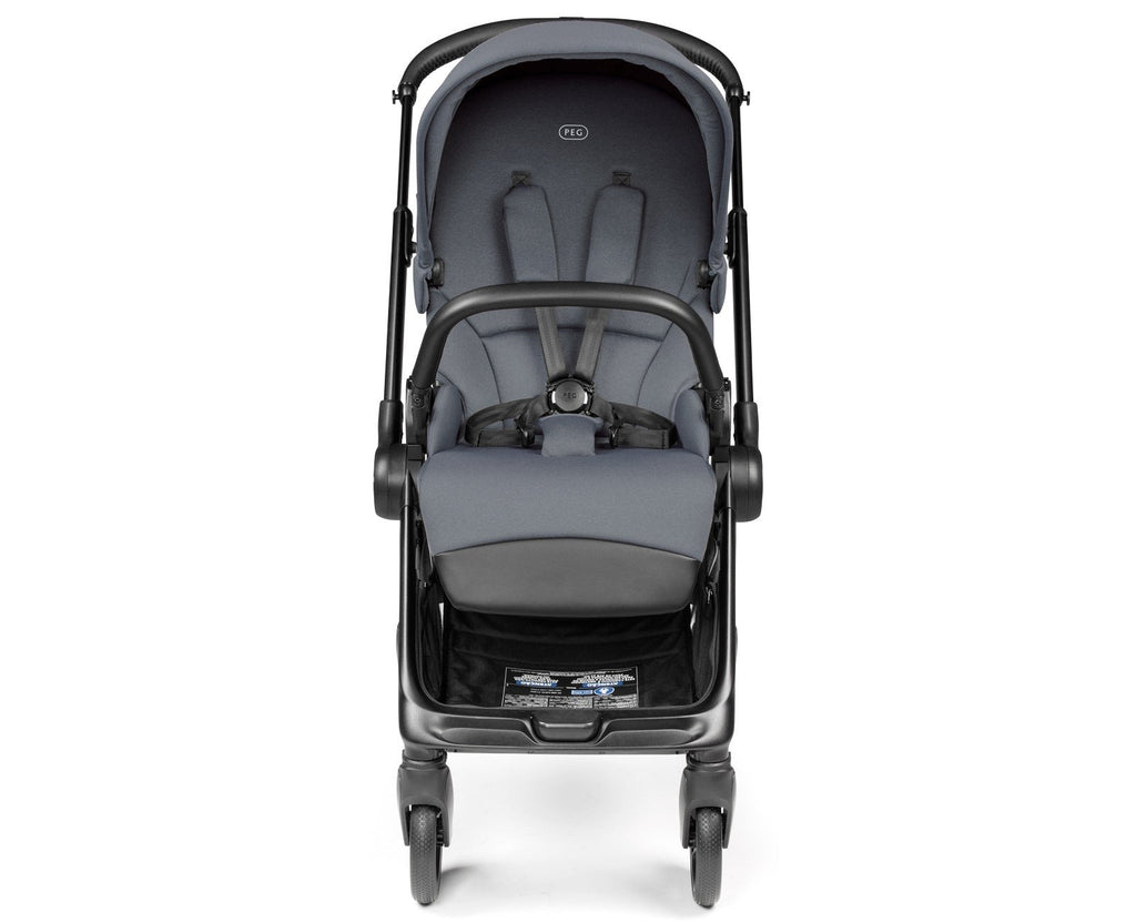 Switch Modular Stroller + Primo Viaggio Nido Car Seat