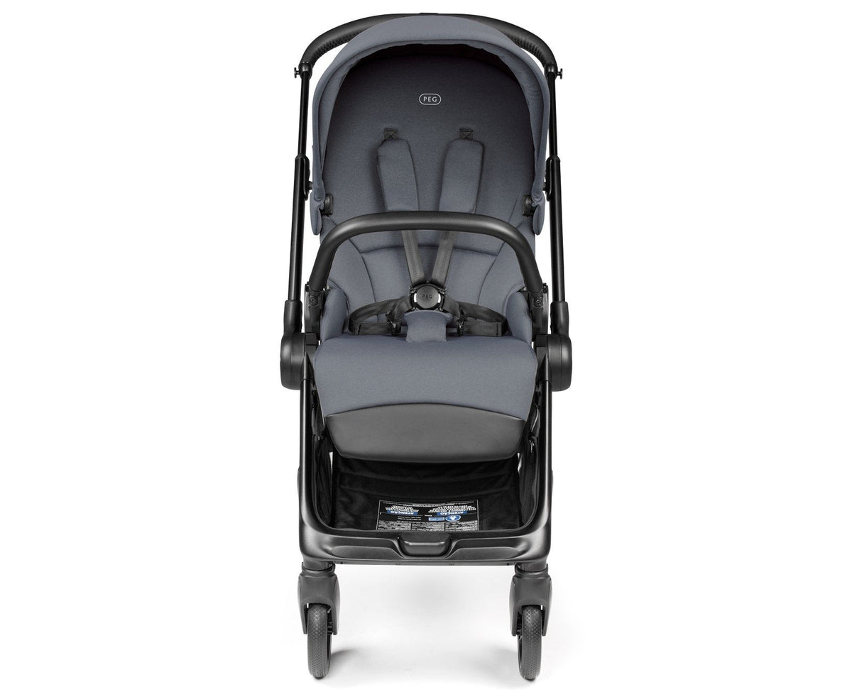 Switch Modular Stroller + Primo Viaggio Nido Car Seat