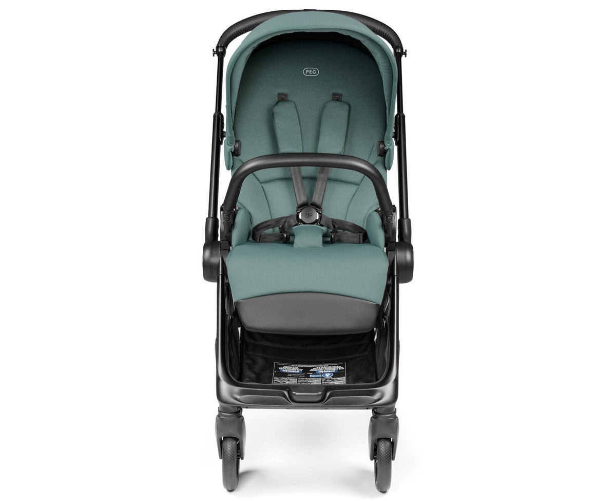 Switch Modular Stroller with Reversible Handle