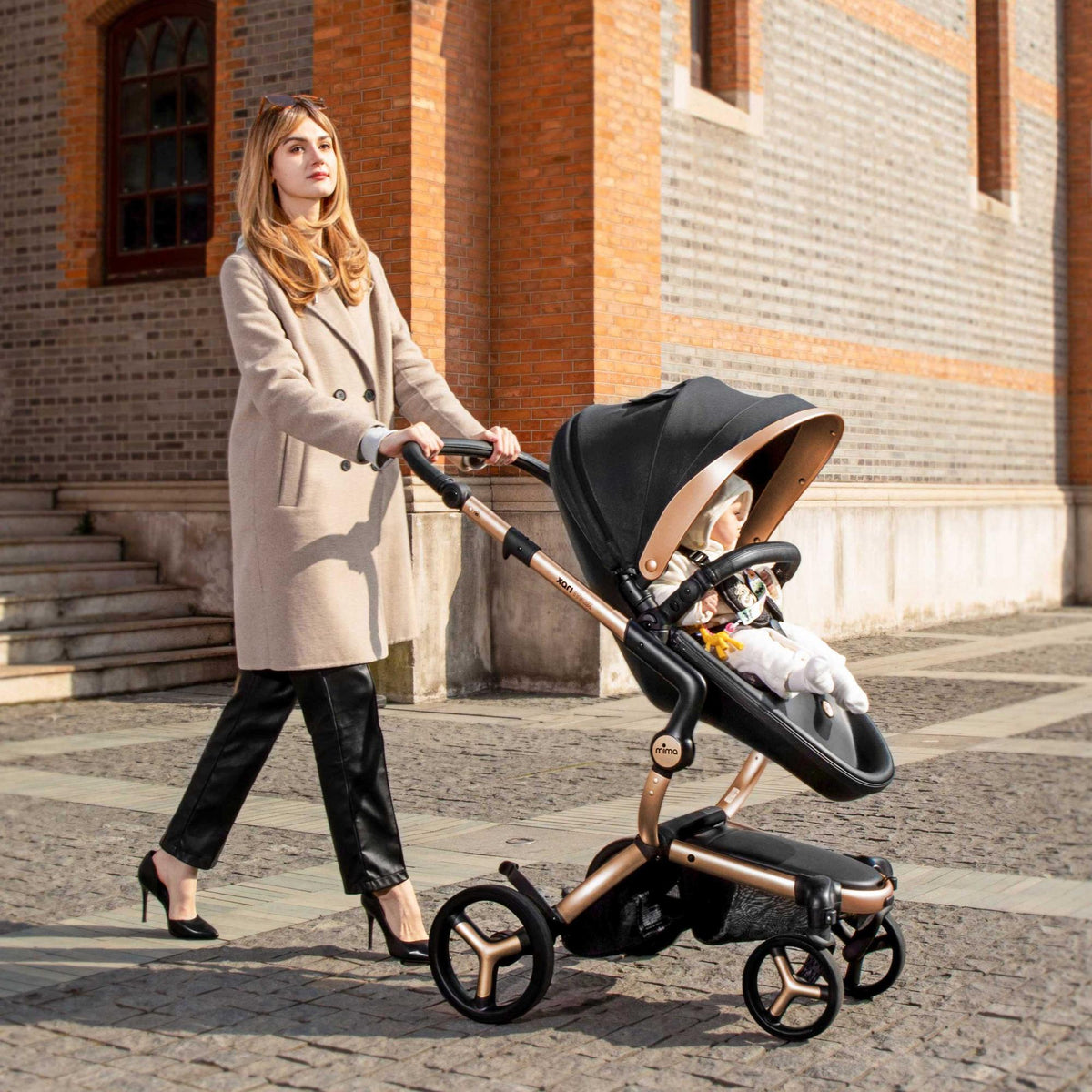 Xari Max Black & Gold